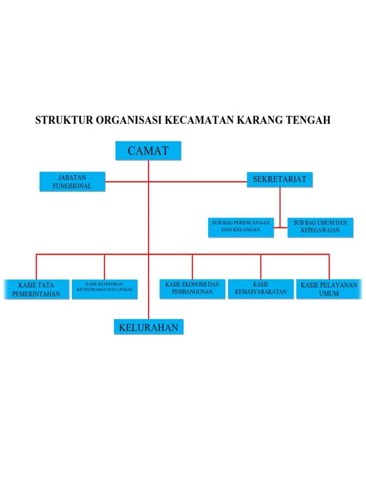 Struktur Organisasi